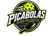 Picabolas - Home